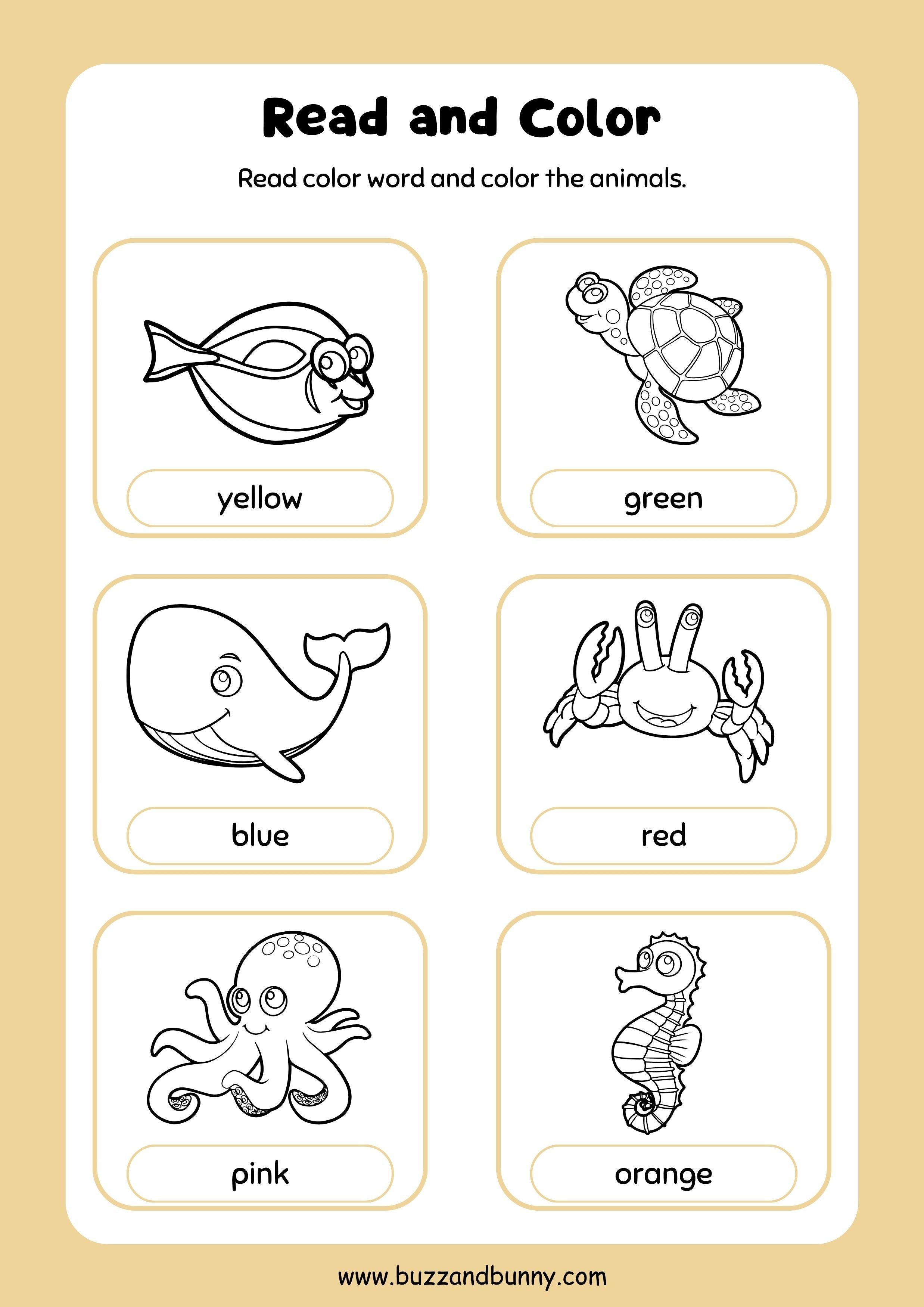 Fun Animals Activity Book Printable Worksheet